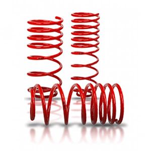 MX5 V-Maxx jeu de ressorts de descente 30 mm