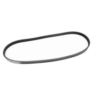 Courroie trapézoïdale MX5 pour les modèles postérieurs à 1,8 l et tous les modèles NB-NBFL